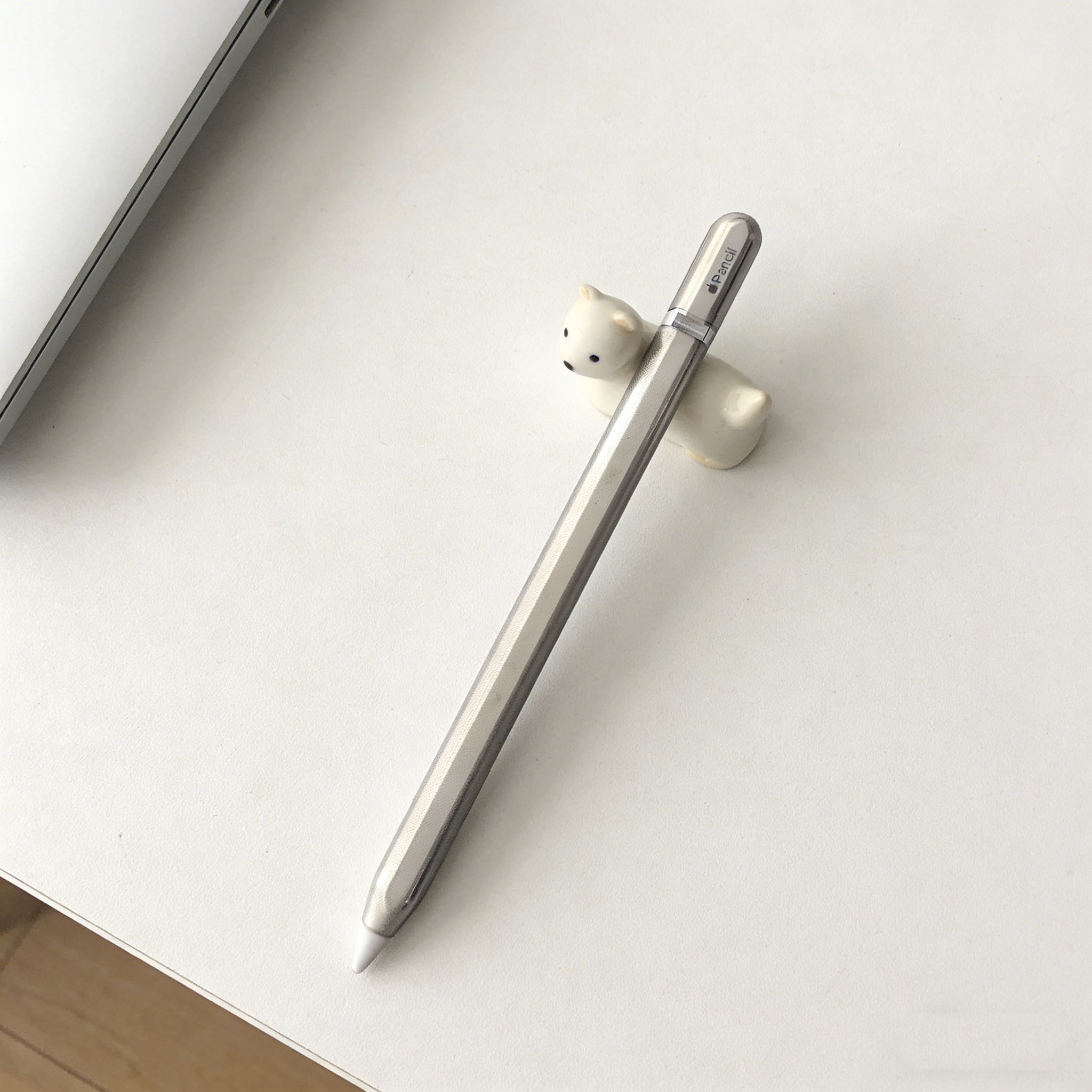 Stiftetui für Apple Pencil Pro – Iphone Tablet Accessories Bewertung und Preis